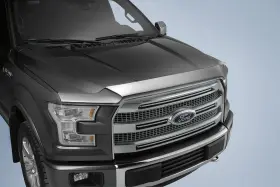 Fl3z-16c900-b Ford New Oem Hood Bug Shield Deflector F-150 2015-2020