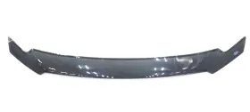 Vcg1z-16c900-a Ford New Oem Lund Aeroskin Hood Bug Deflector Vcg1z16c900a Taurus 2013-2019