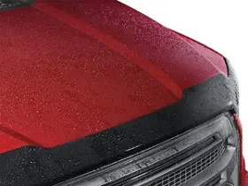 55217 Weathertech Bug Deflector
