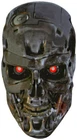 The Terminator T-800 Model 101 Cybernetic Organism Big Head Window Cling Sticker. Price: $8.00.