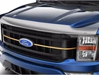 Chrome Aeroskin Low Profile Hood Protector Fits 23-26 Ford F150 Lightning New. Price: $179.99.