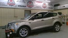 Ford Escape 2017 Hood GJ5Z16612A 7089 Used. Price: $281.19.