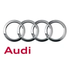 Genuine Audi Lining 8K0-825-207-D New. Price: $324.00.