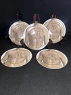 The New English Anatomica Bread & Butter / Side Plates Set Of 5 By Lisa Turner Used. Price: $28.00.